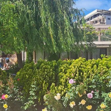 Patrick's - Sorrento Sole Mare, スヴェティ・ヴラス